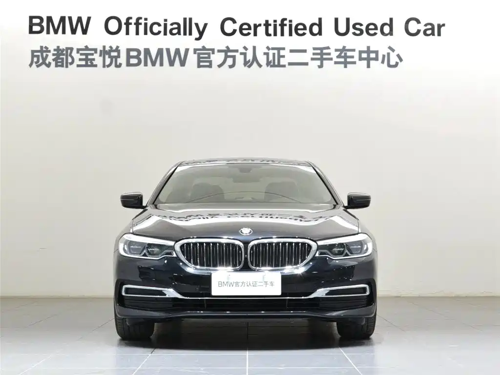 BMW 5 Series 5 2020 530Li Lead Luxury