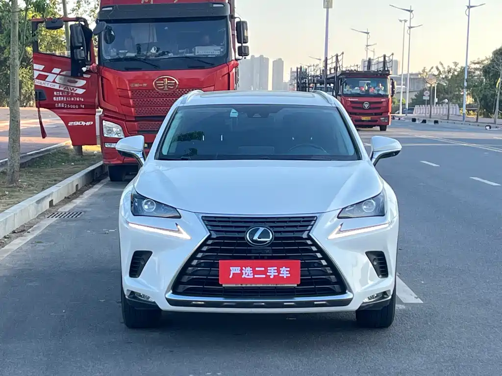 LEXUS NX
