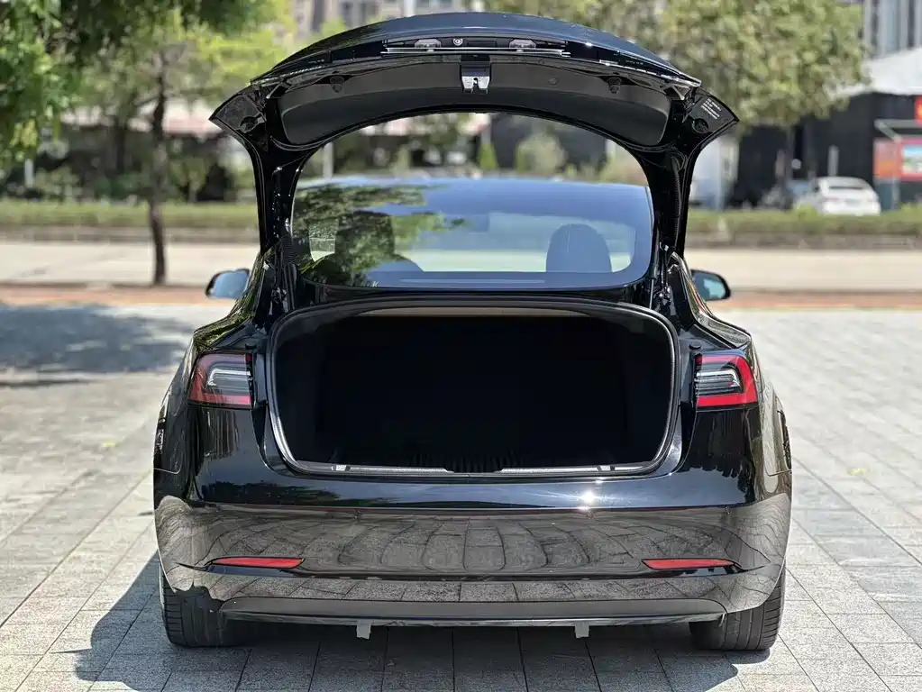 Tesla Model 3 — миниатюра 15