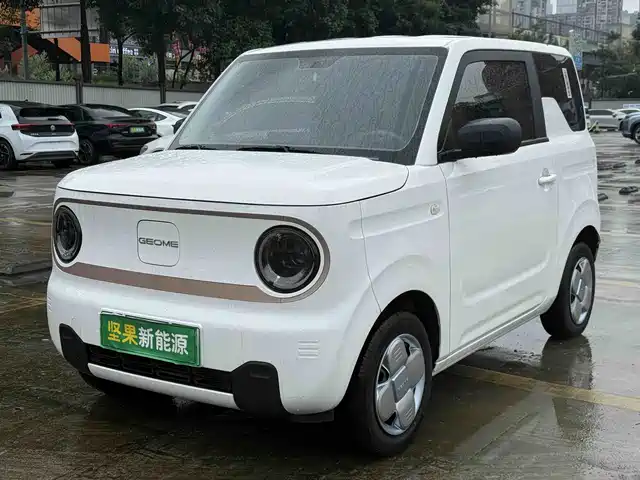 2025 Geely LC (Panda)