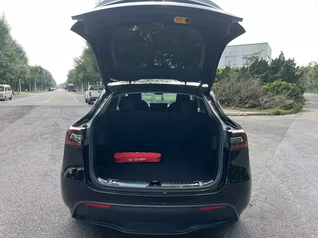 Tesla Model Y — фотографии объявления, Фото 17