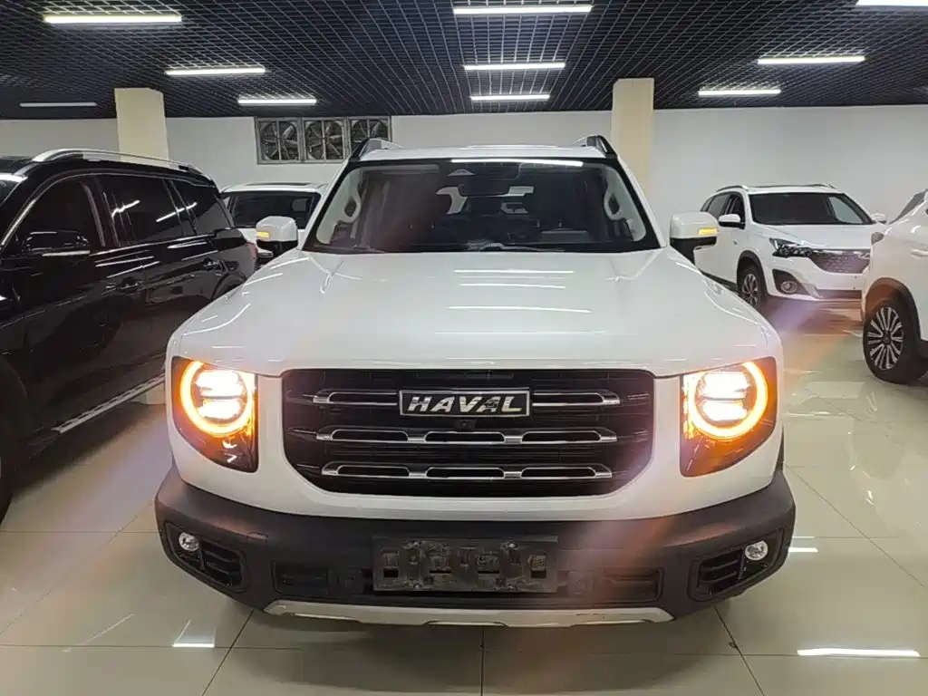 Haval 长城大狗 — миниатюра 3