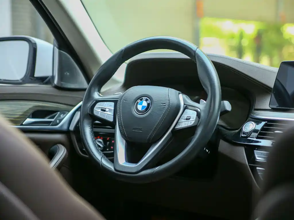 BMW 5 Series 5 2020 530Li Lead Luxury