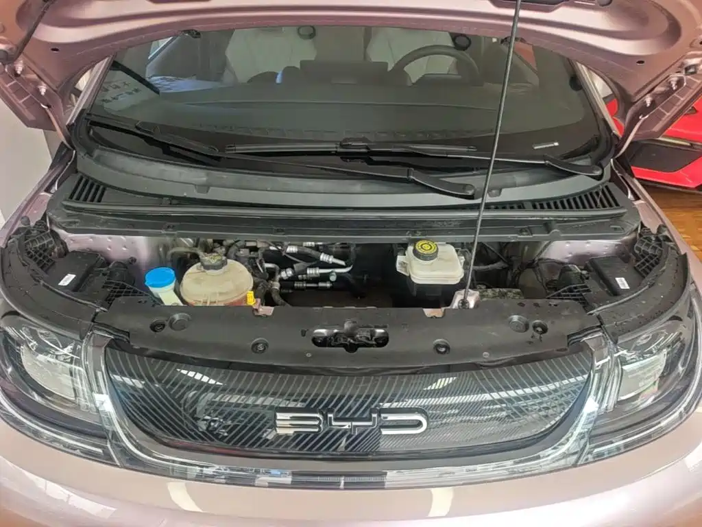 BYD Dolphin 2023 — фото 19