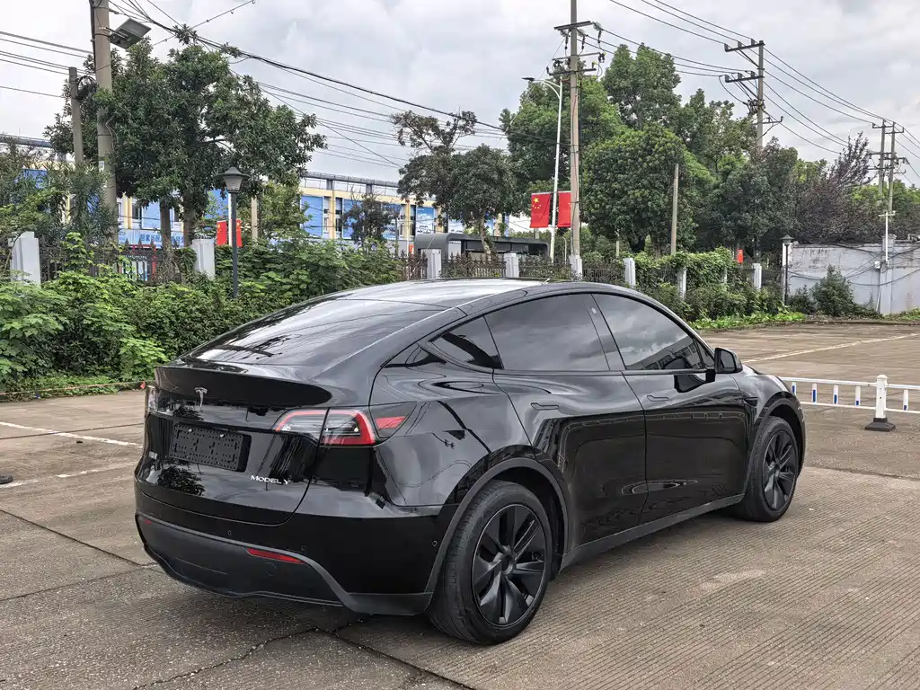 Tesla Model Y — миниатюра 6