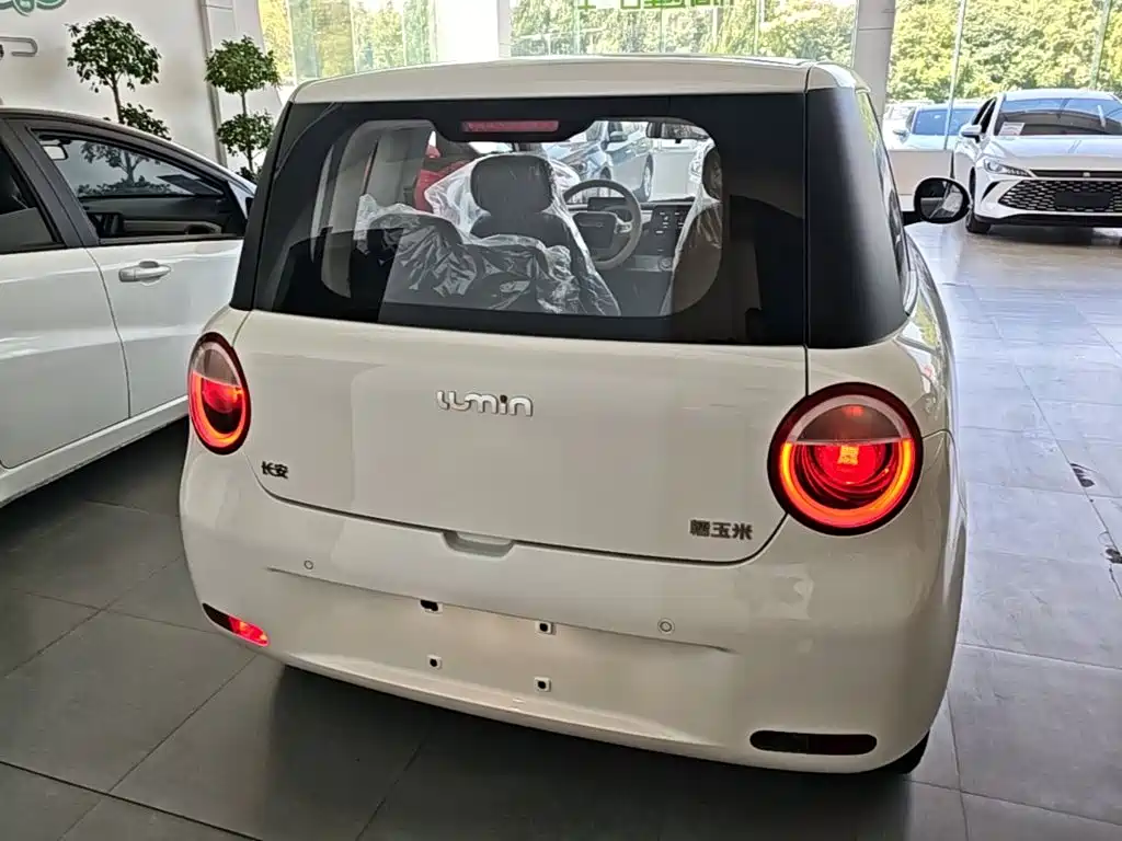 Qiyuan Lumin — миниатюра 6