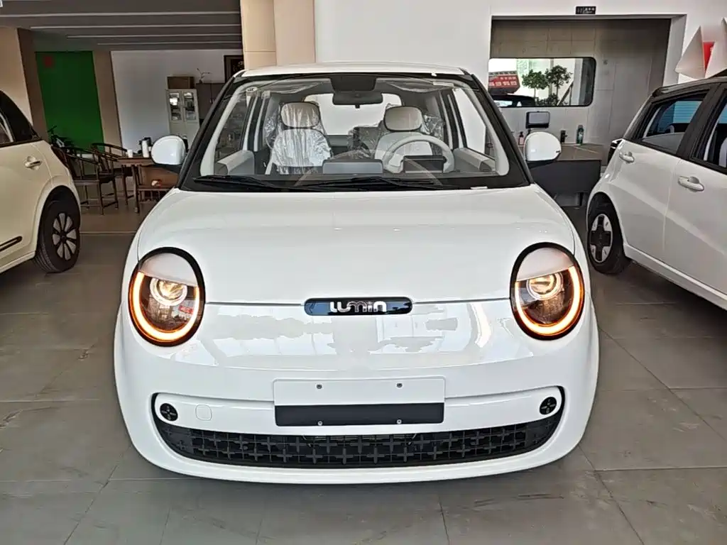Qiyuan Lumin — миниатюра 3