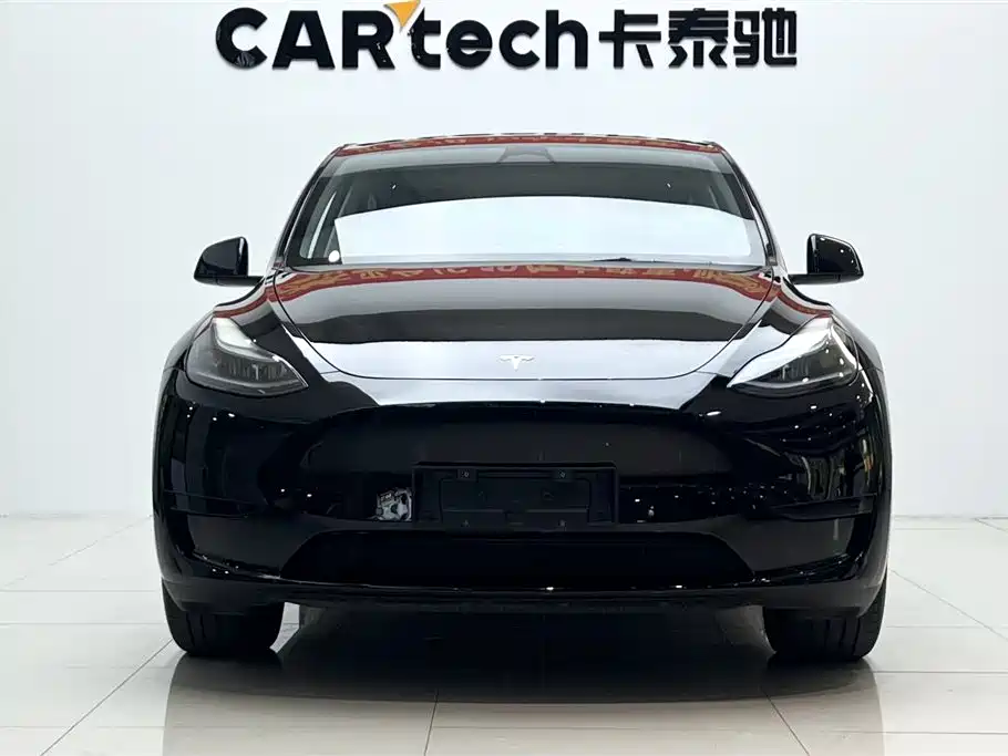 Tesla Model Y — миниатюра 2