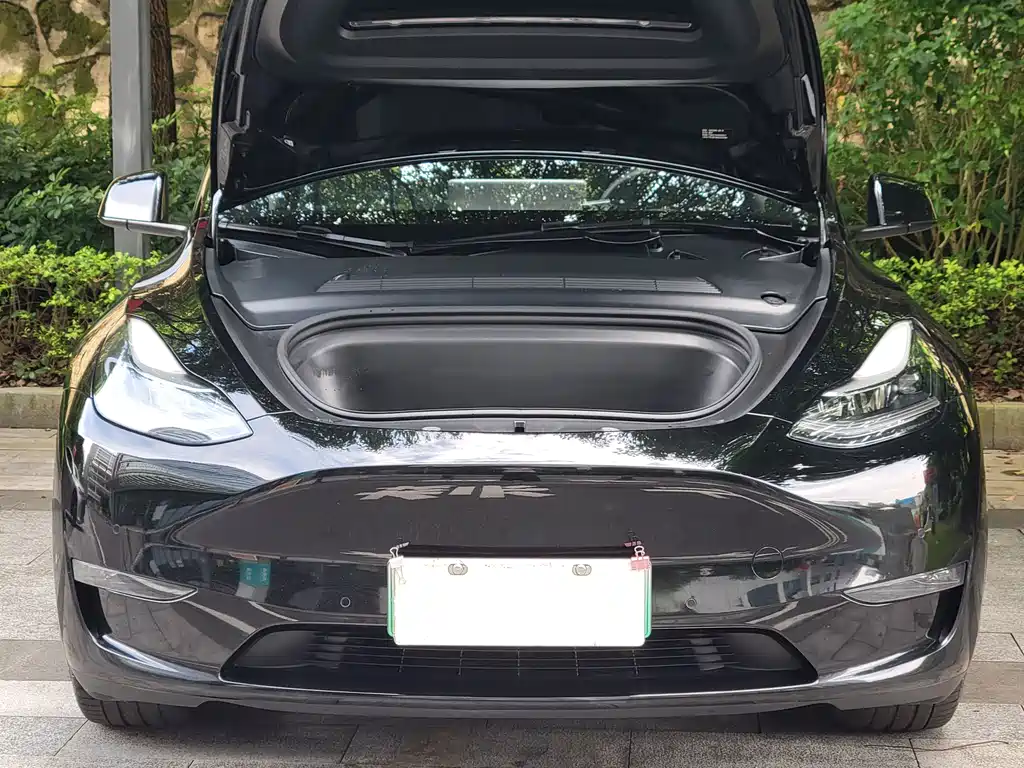 Tesla Model Y — миниатюра 5