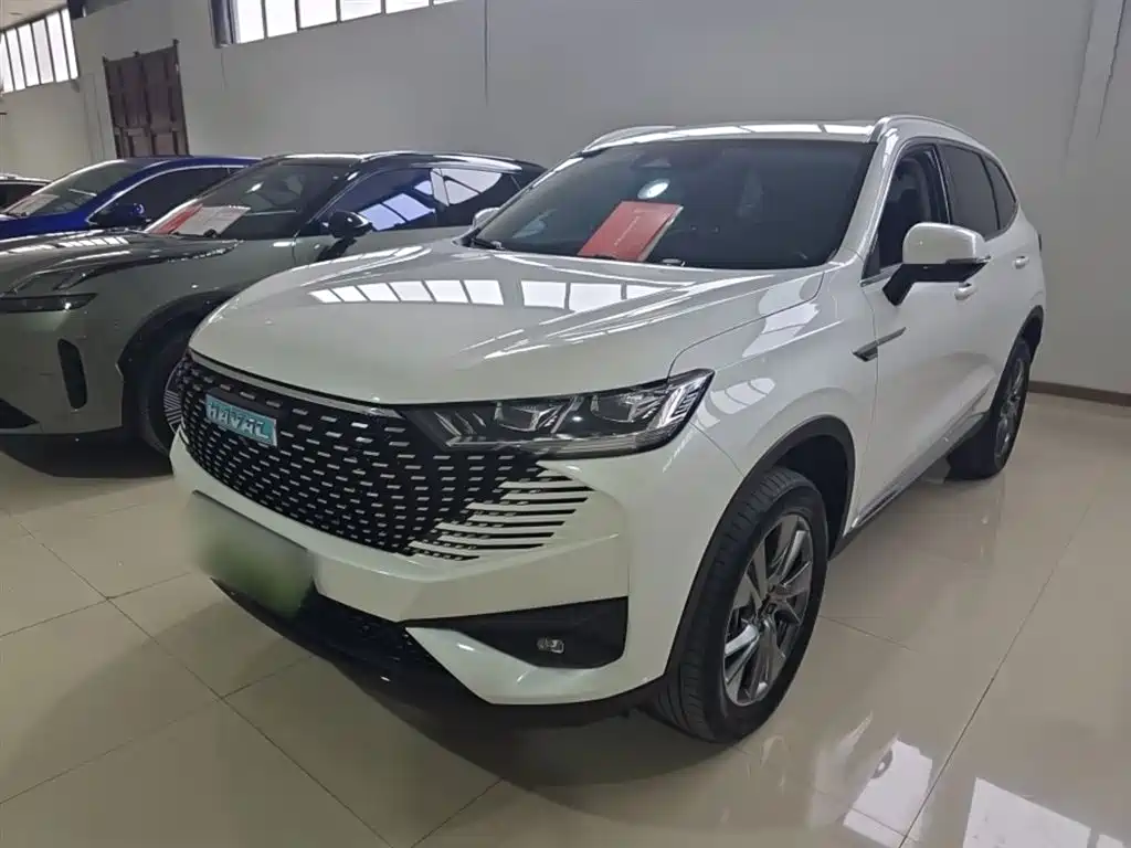 Haval H6 New Energy — миниатюра 2