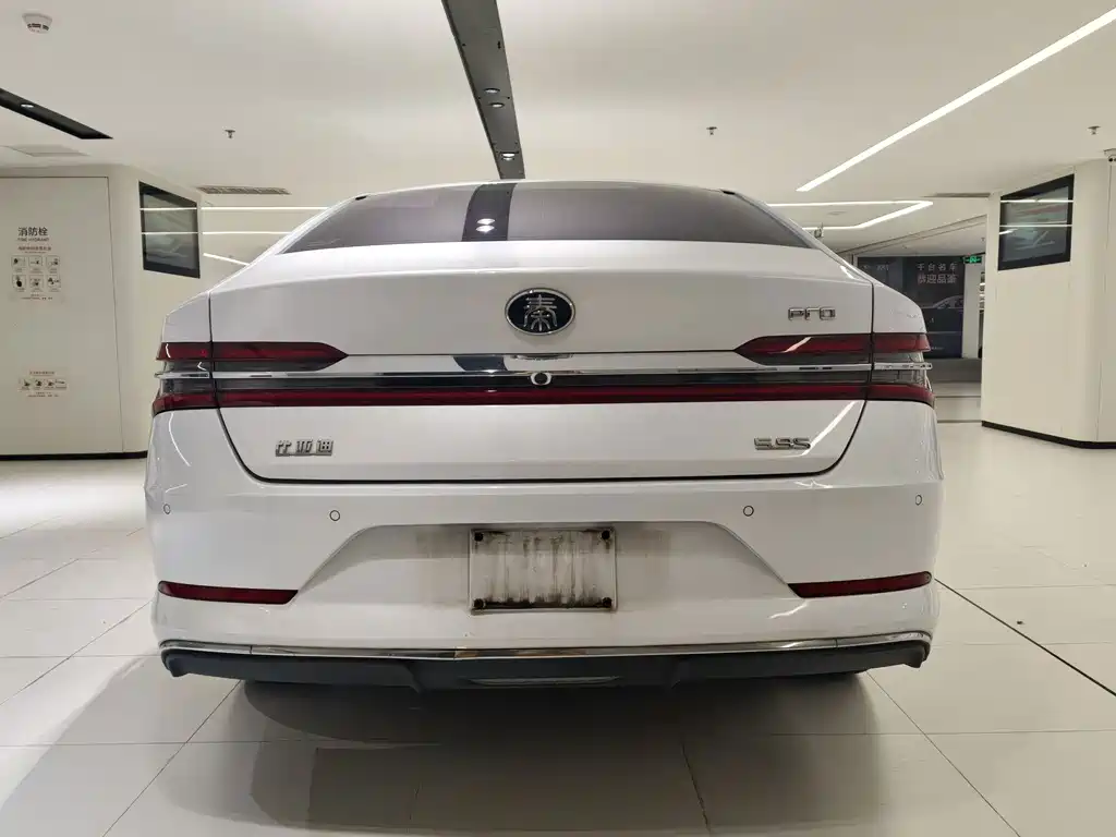 BYD Qin Pro NEV — миниатюра 6