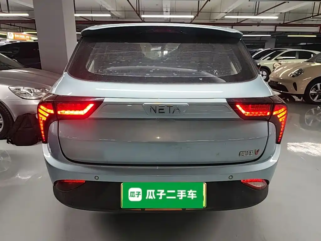 Neta Neta V — миниатюра 6