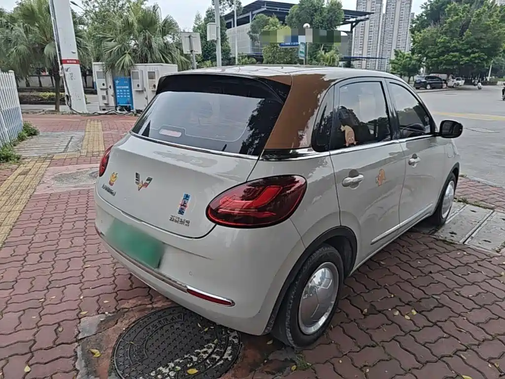 Wuling Binguo 2023 333km
