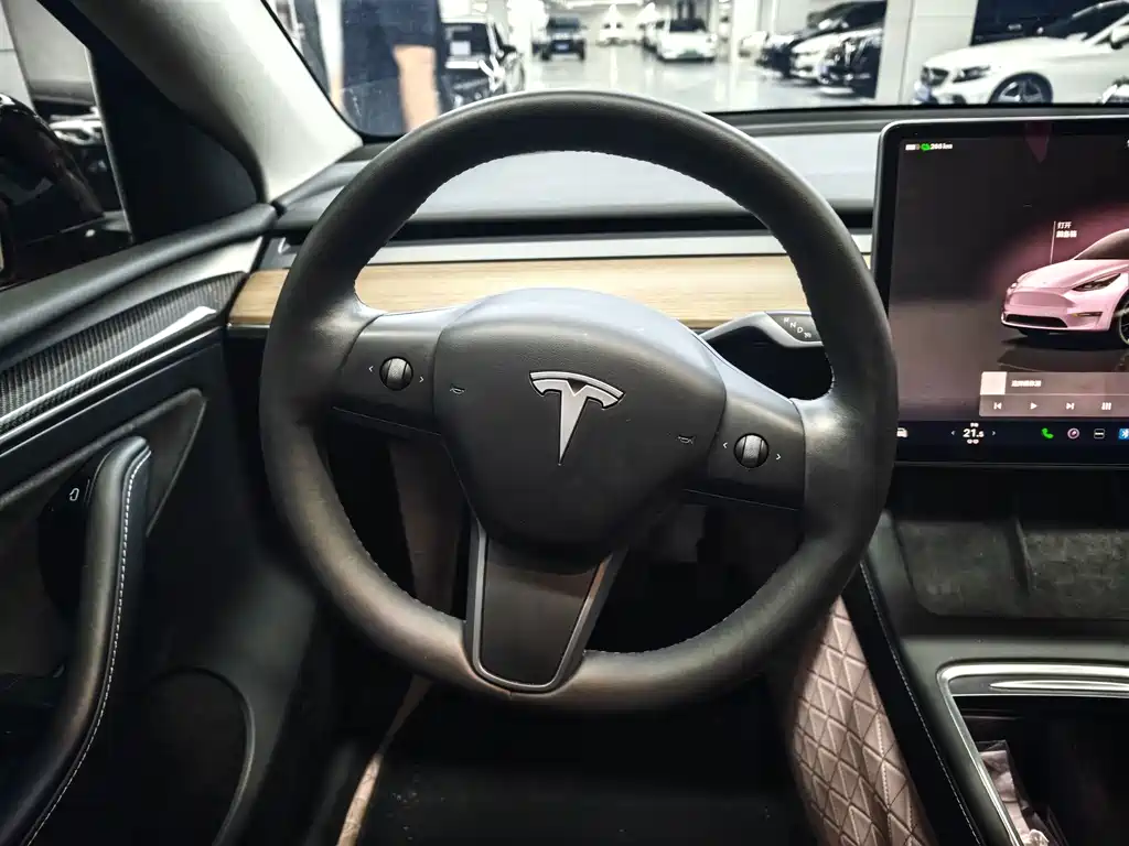 Tesla Model Y — миниатюра 4