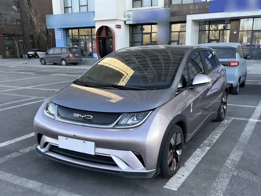 Byd Dolphin 2023