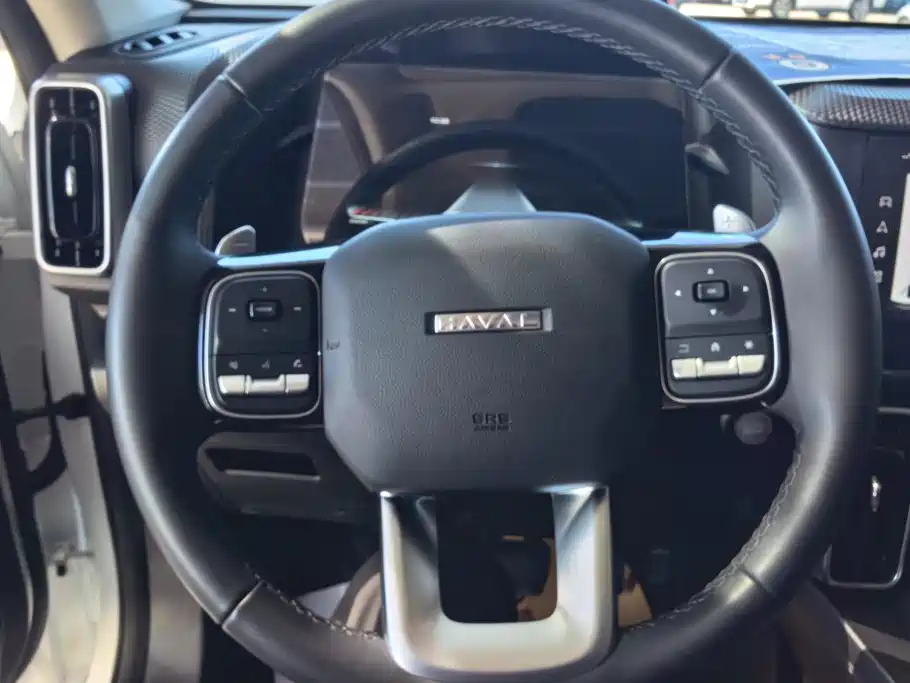 Haval 长城大狗 — миниатюра 15