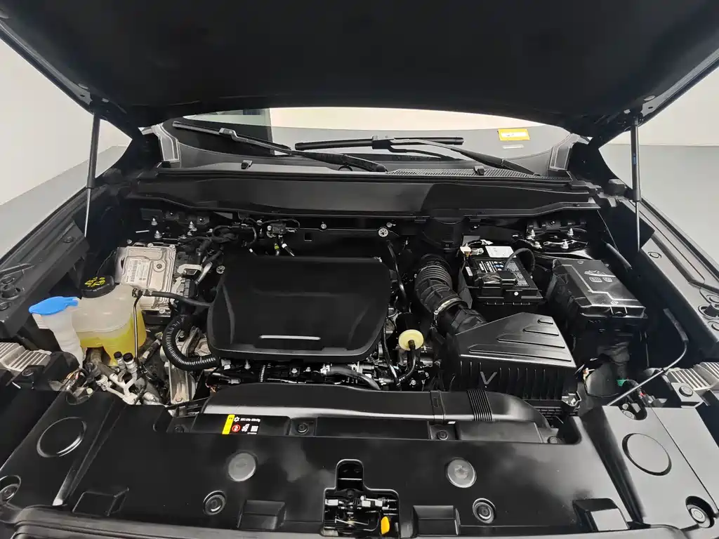 Haval Big Dog — миниатюра 10