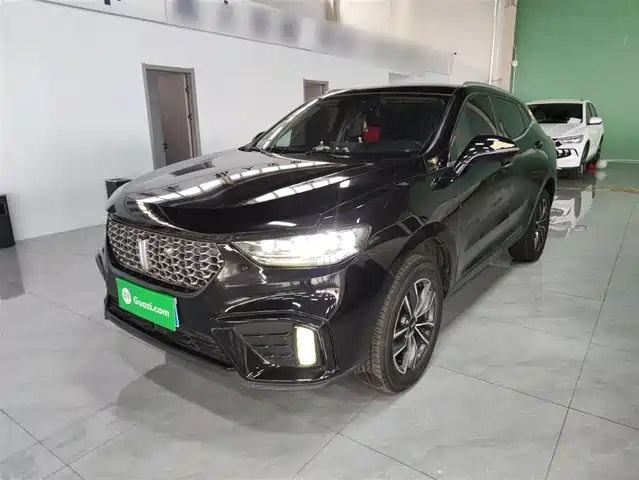 wei-pai wei-brand-vv5