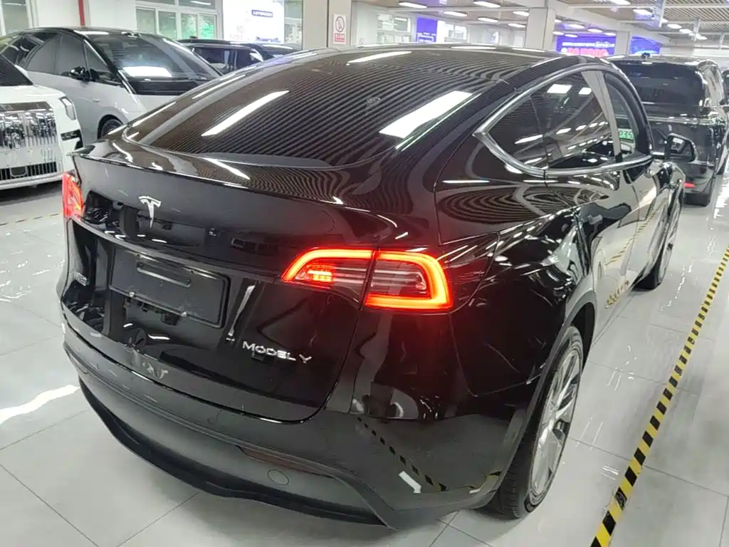 Tesla Model Y — миниатюра 7