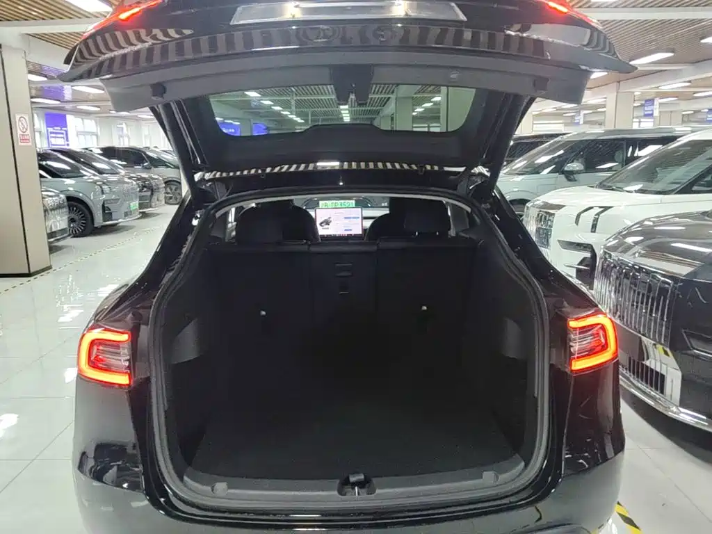 Tesla Model Y — миниатюра 19