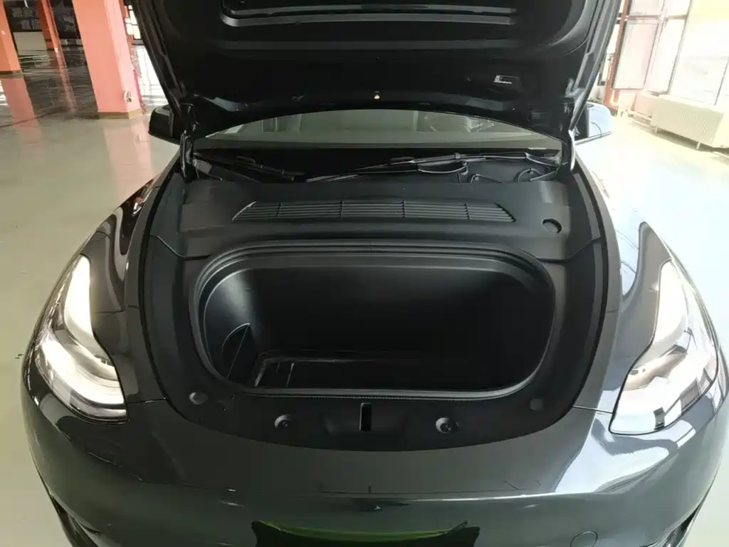 Tesla Model Y — миниатюра 20