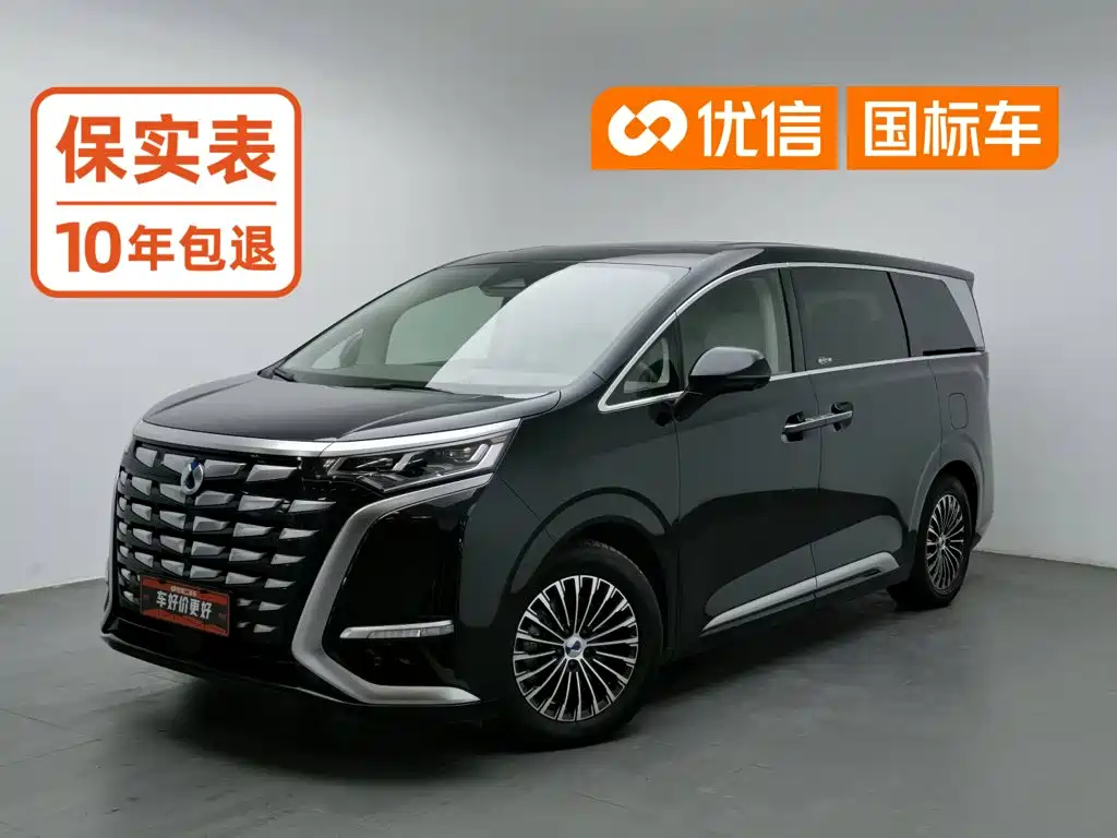Denza Denza D9