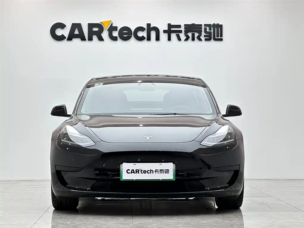 Tesla Model 3 2021 3D1