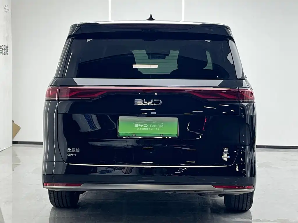 BYD Xia — миниатюра 4
