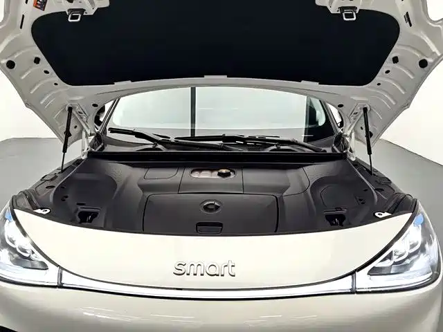 smart Smart #1 — миниатюра 17