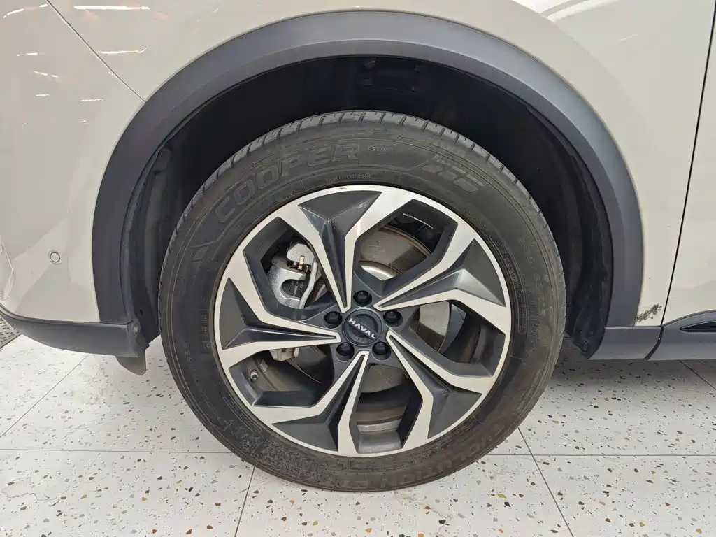 Haval Xiaolong MAX — миниатюра 23