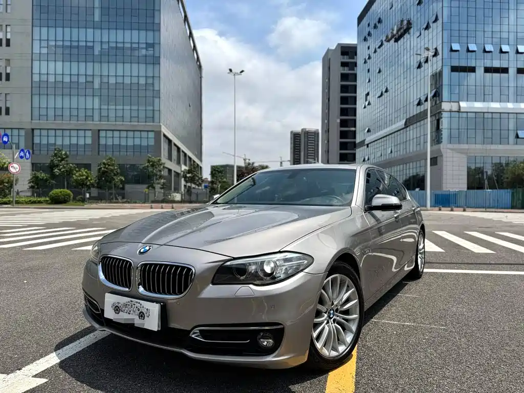 BMW 5 Series 2015