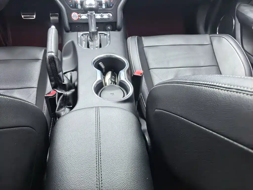 Ford Mustang — миниатюра 12