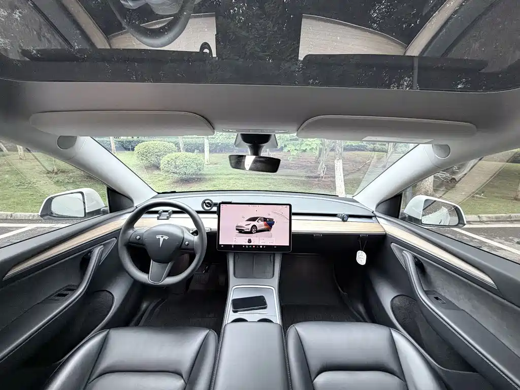 Tesla Model Y — миниатюра 13