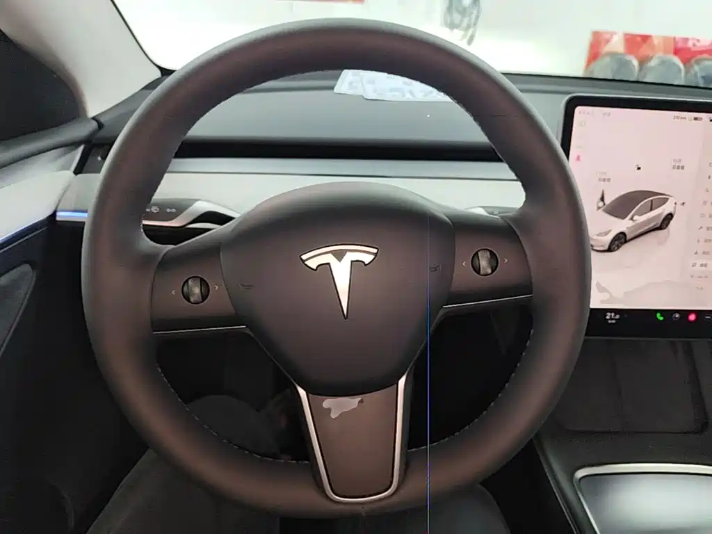 Tesla Model Y — миниатюра 11