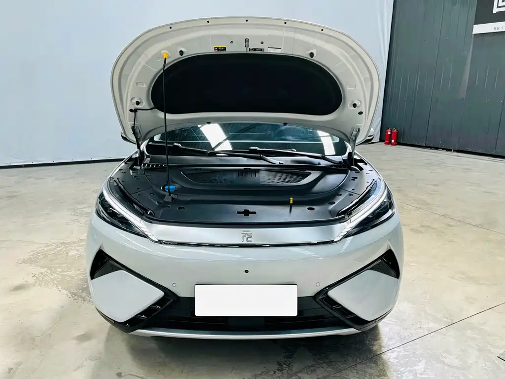 BYD Yuan Plus — миниатюра 8
