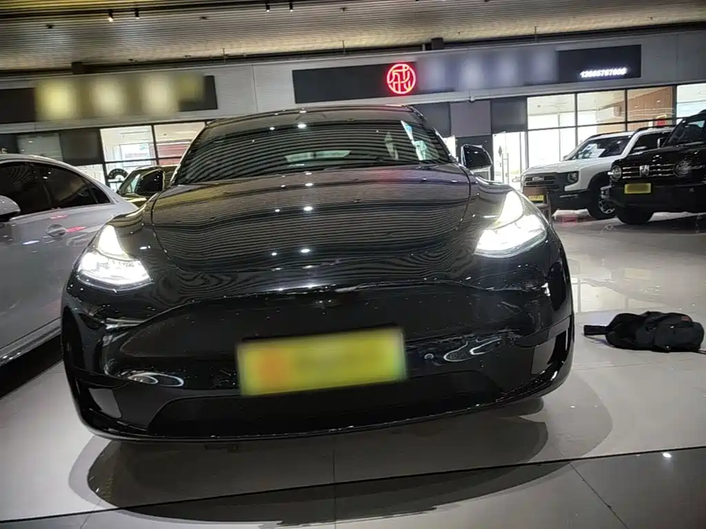 Tesla Model Y — миниатюра 3
