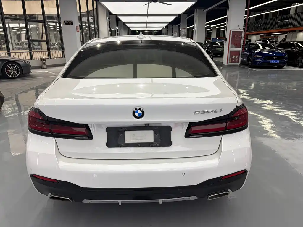 BMW 5 Series — миниатюра 3