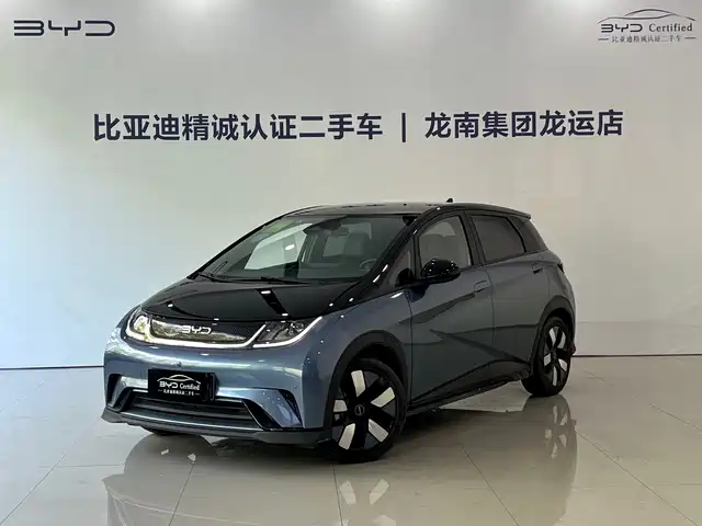 2024 BYD Dolphin