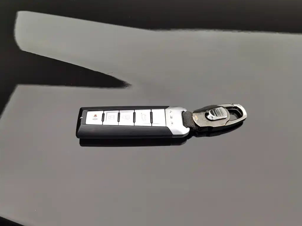 WEI PAI WEI BRAND VV5