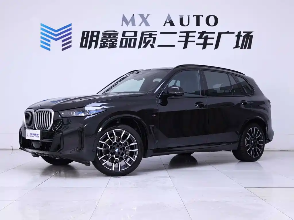 BMW X5 — миниатюра 2
