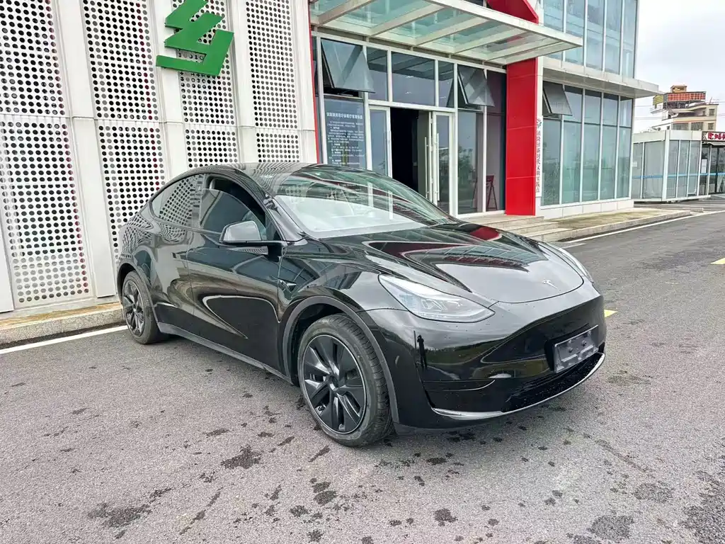 Tesla Model Y — миниатюра 22