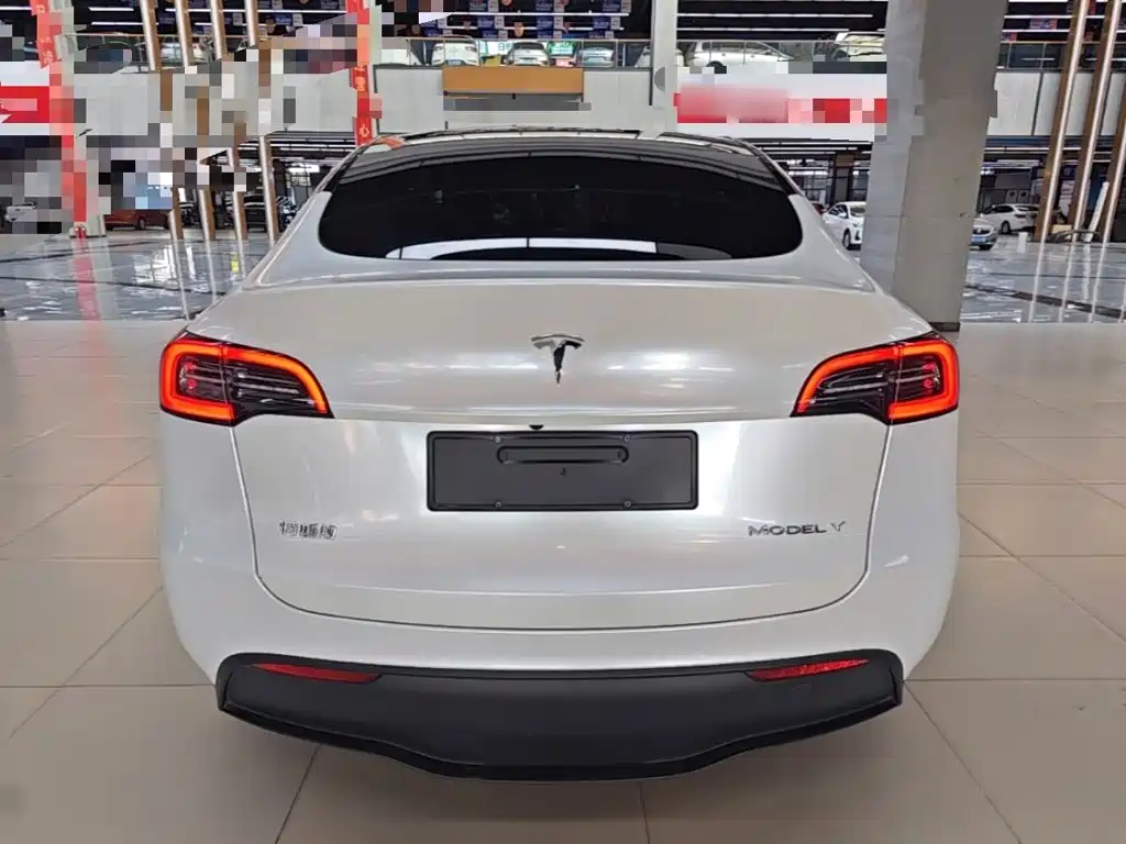 Tesla Model Y — миниатюра 6