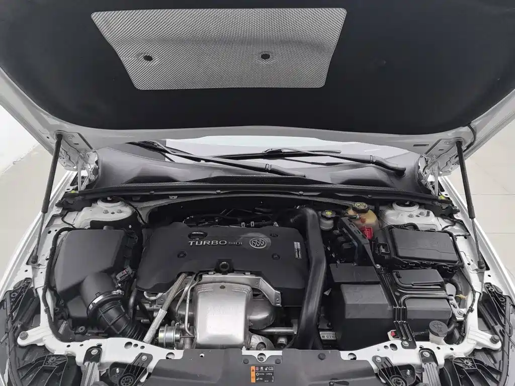 Buick Regal — миниатюра 6