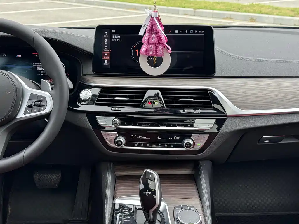 BMW 5 Series 5 2022 530Li Lead M Sport