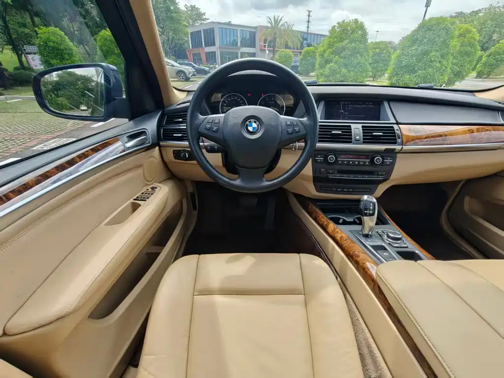 BMW X5 (Import) — миниатюра 10
