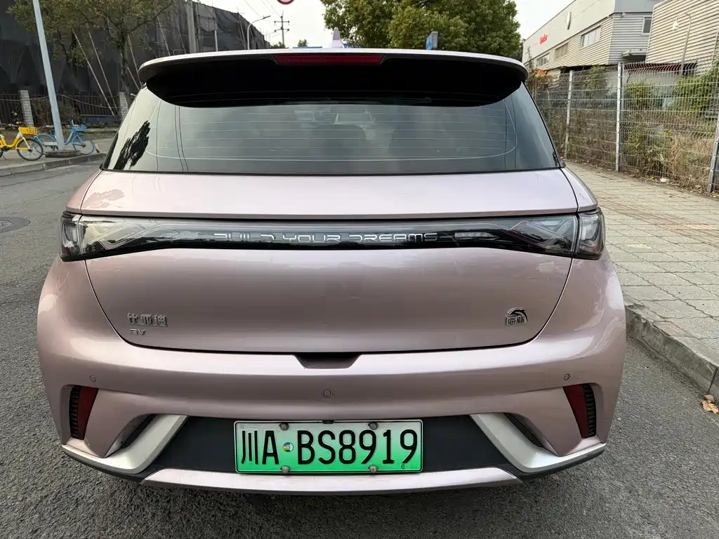 BYD DOLPHIN