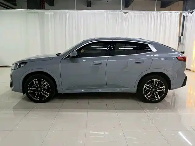 BMW X2 (Import) — миниатюра 7
