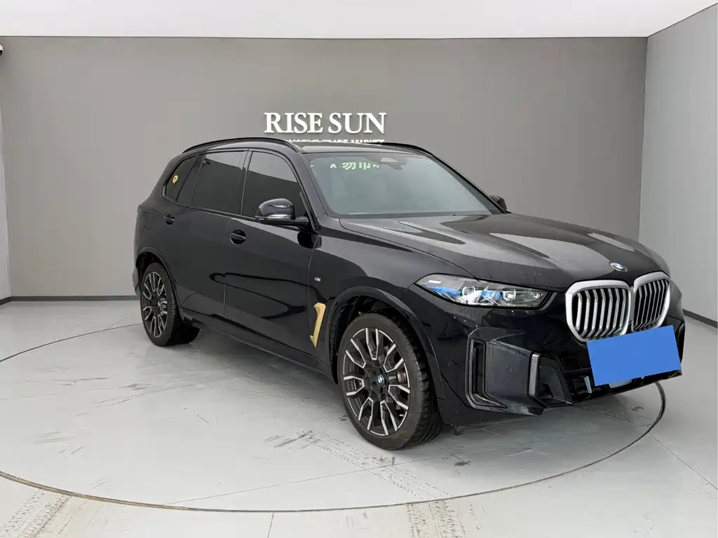 BMW X5 — миниатюра 3