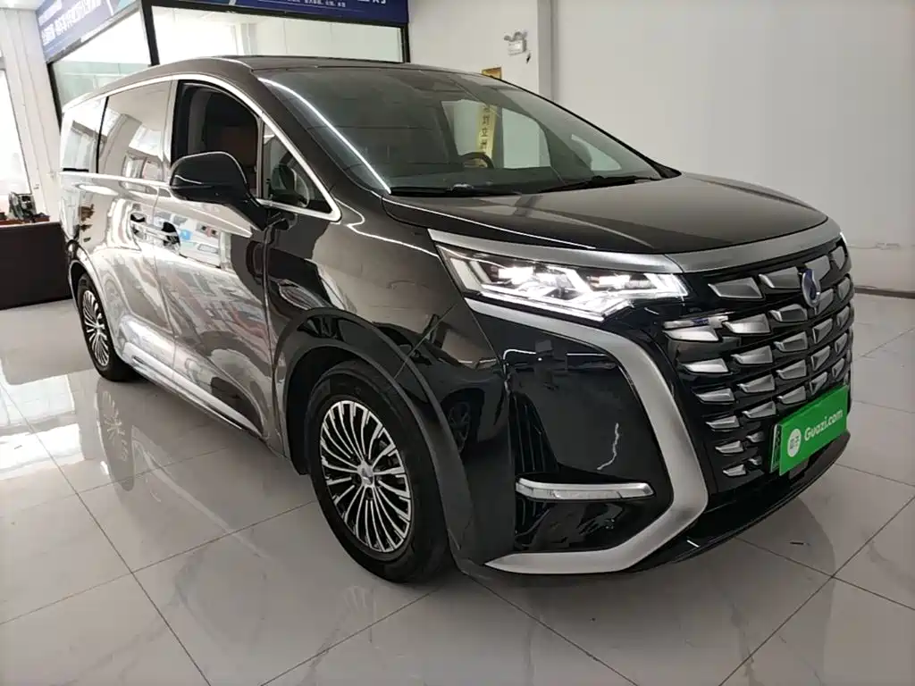 Denza Denza D9 — миниатюра 4