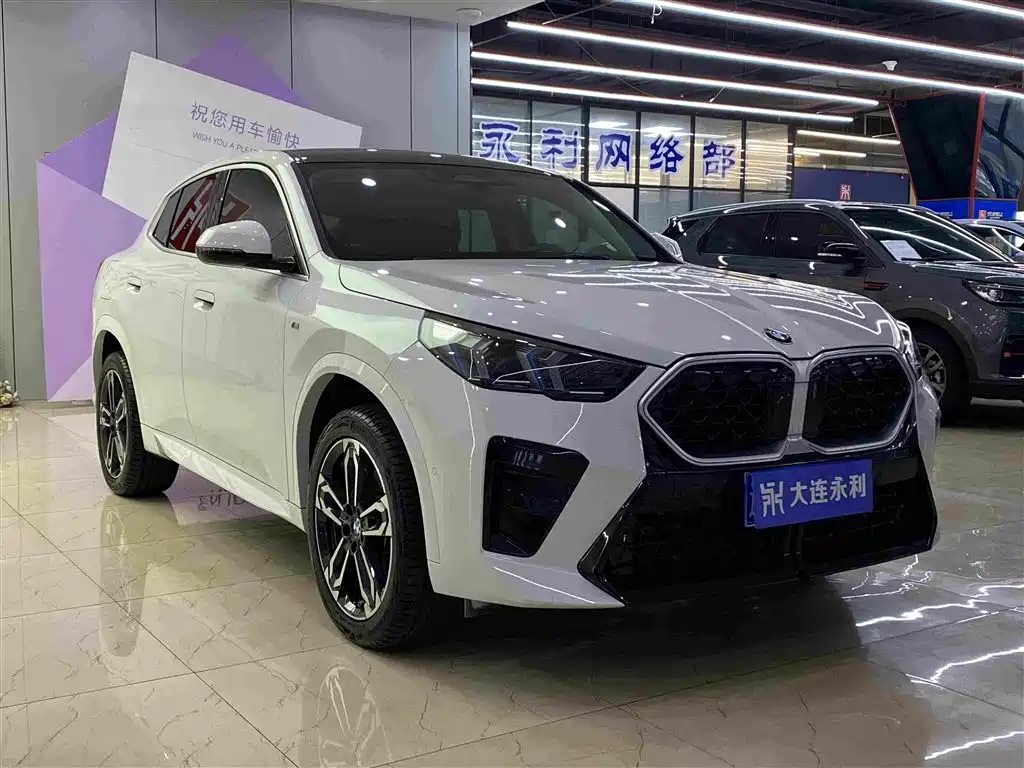 BMW X2 (Import) — миниатюра 3